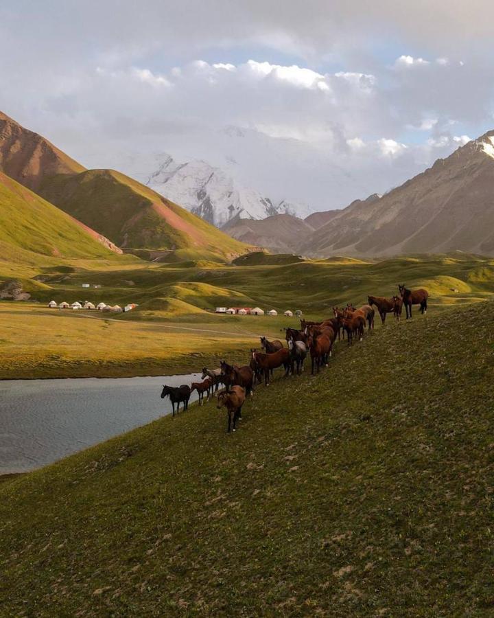 Pamir Nomad Yurt Camp Hotel Kara-Kavak Exterior photo