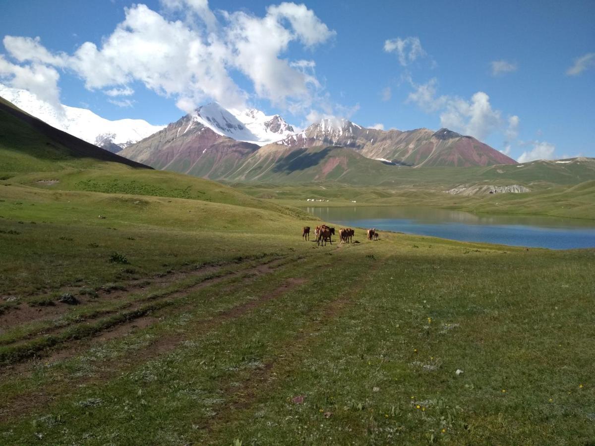 Pamir Nomad Yurt Camp Hotel Kara-Kavak Exterior photo