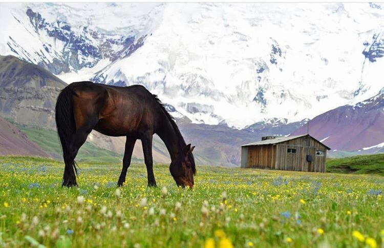 Pamir Nomad Yurt Camp Hotel Kara-Kavak Exterior photo